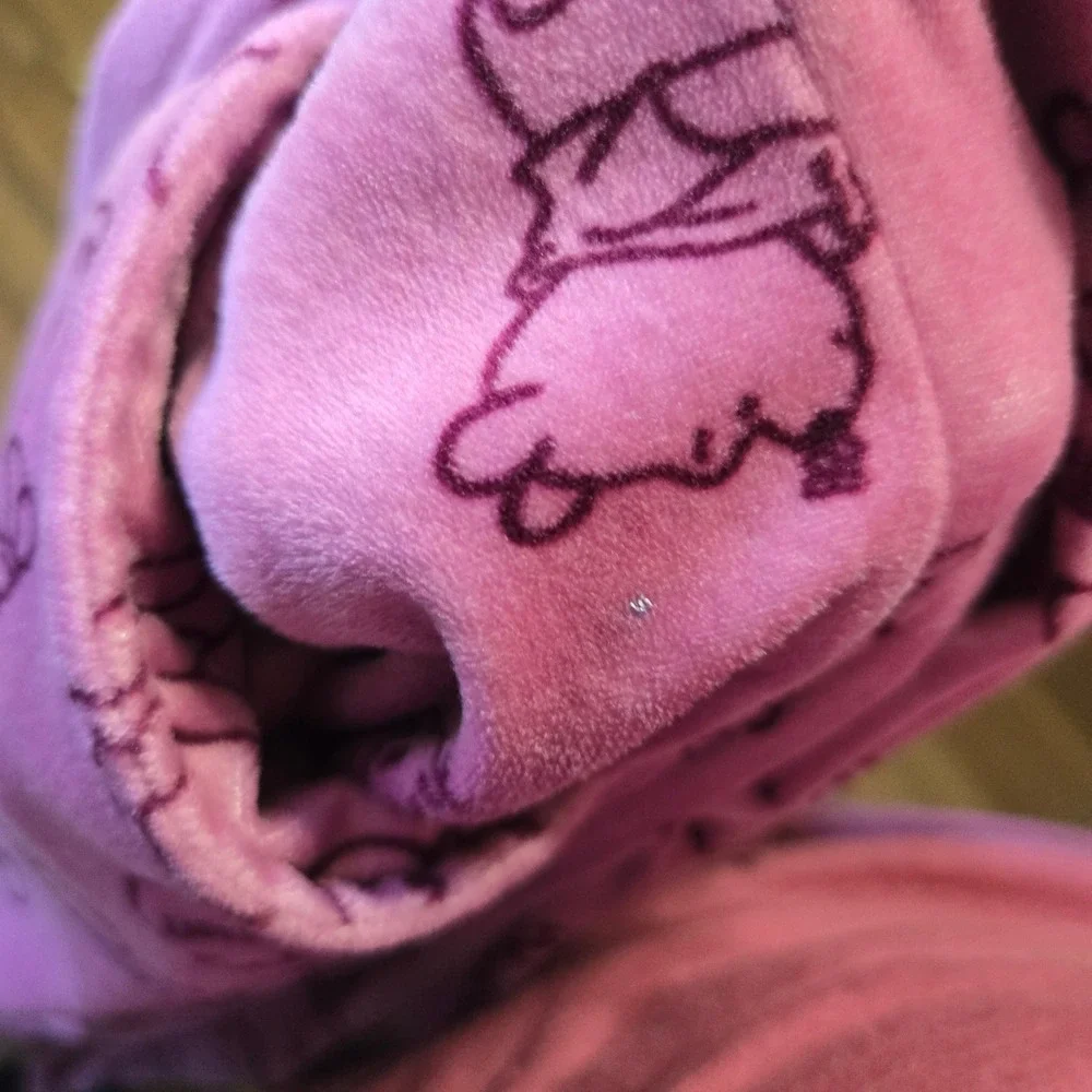 Disney Winnie the Pooh Pink Velvet Soft Like Cozy Lounge Pajama Set  Med 2pc - Picture 7 of 8